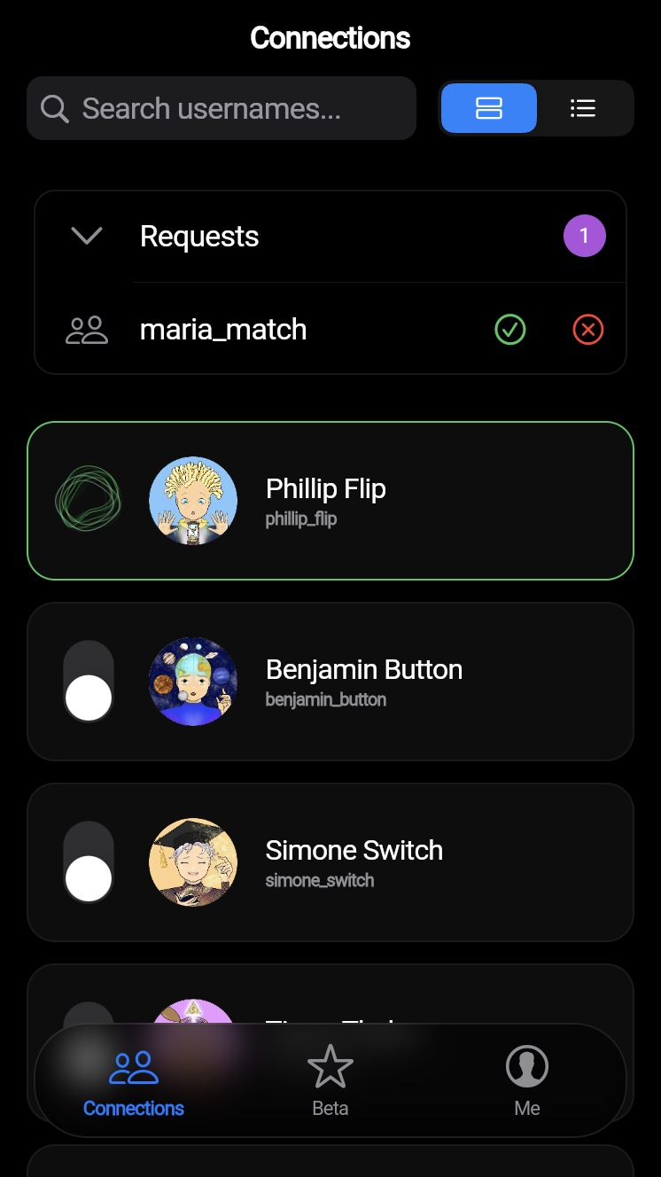 connections screenshot